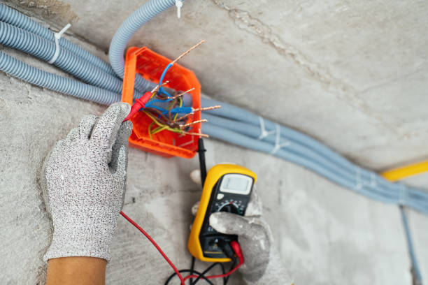 Best Electric Panel Repair  in Seabrook Farms, NJ